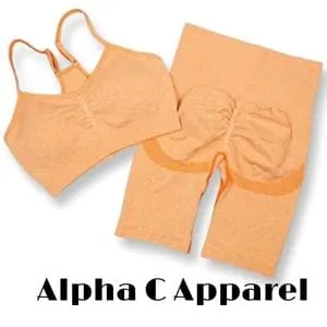 Alpha C Apparel Women 2 Piece Seamless  Leggings Crop Top Yoga Set