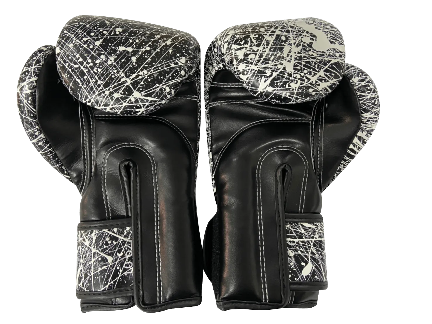 Fairtex Boxing Gloves BGV14 KOREAN Painter