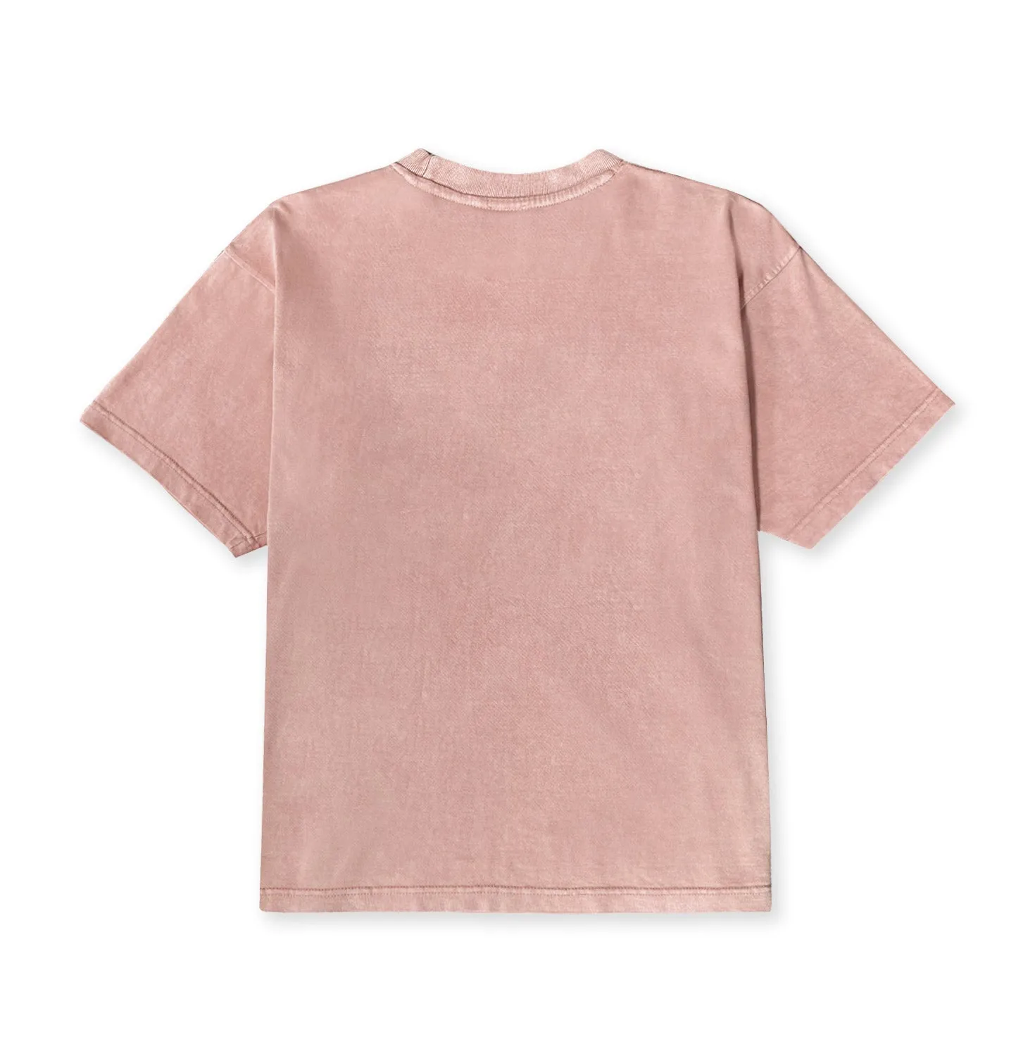 PRETTY PRIVILEGE TEE (WASHED PINK)